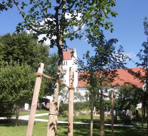 Friedhöfe Puchheim –  Baumbestattungen im Friedhof Puchheim-Ort sowie Austausch von Bänken im Friedhof im Schopflach